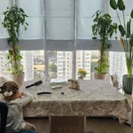 Ткань Пальмы бежевый